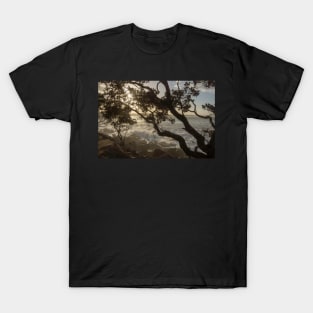 Sea through the trees. T-Shirt